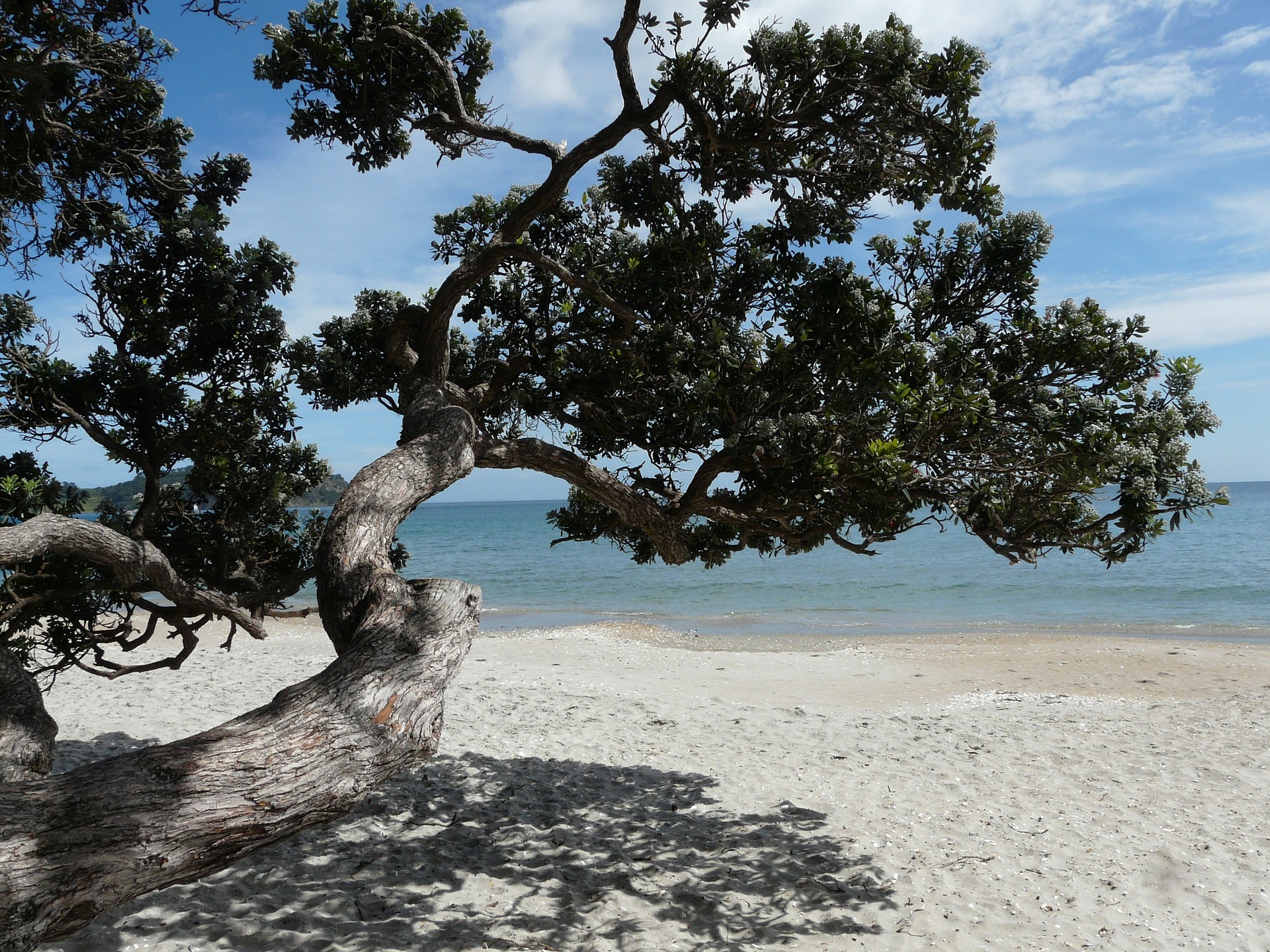 Waiheke Island New Zealand